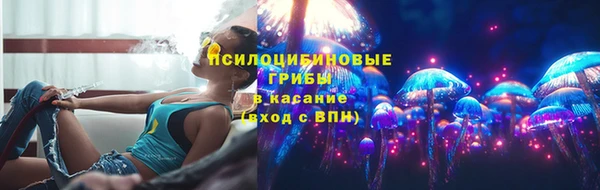 эйфоретик Каменка