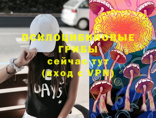 эйфоретик Каменка