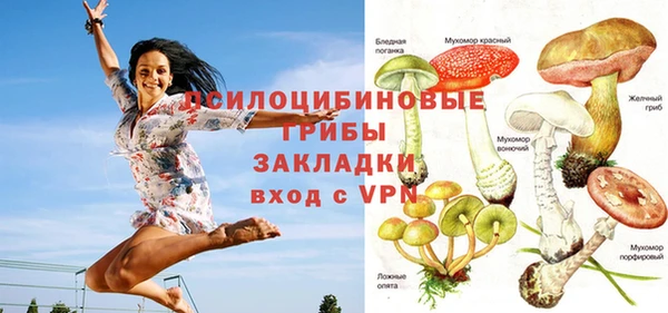 MDMA Каменногорск