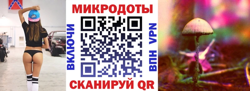 Купить закладки  Советская Гавань  Псилоцибиновые грибы мухоморы 